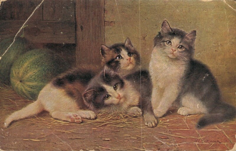 Three Kittens Vintage Postcard 03.40