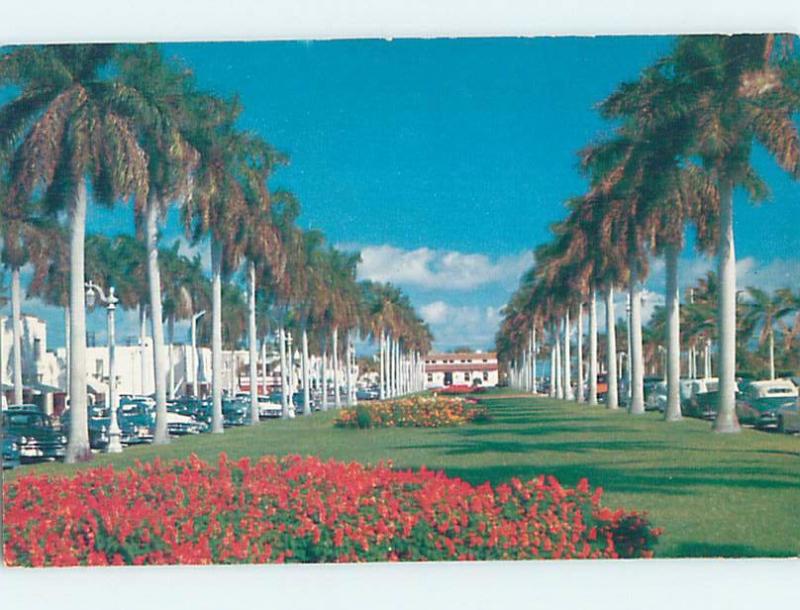 Unused Pre-1980 STREET SCENE Palm Beach Florida FL hp1765