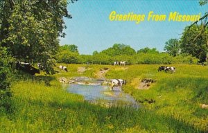 Greetings From Missouri Cattle Scene