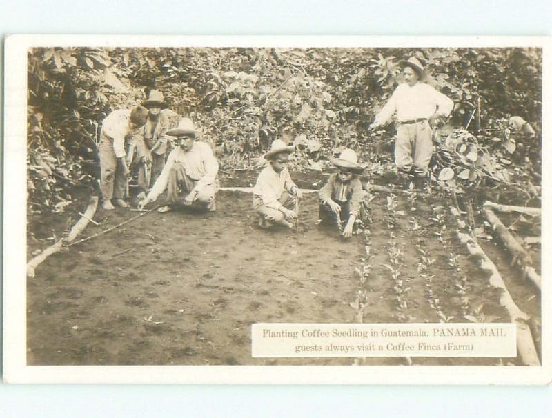 old rppc PLANTING COFFEE CORREOS DE GUATEMALA POSTMARK Ciudad De Guatemala i3558