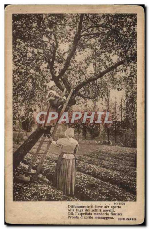 Old Postcard Women's picking Italy