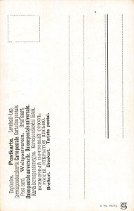 L338 Cactus Humanized flowers fantasy comic Wunderlich vintage postcard