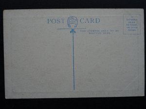 Lancashire Fleetwood GRAIN ELEVATOR & DOCKS c1906 Postcard by Arcadia