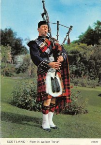 uk50339 piper in wallace tartan scotland uk military soldier