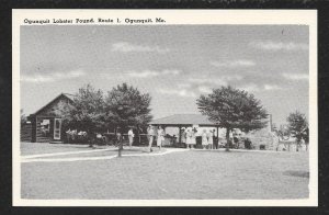 People at Ogunquit Lobster Pound Restaurant Ogunquit ME Unused c1940s
