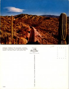 Highway Trough The Saguaros, Arizona (10912)