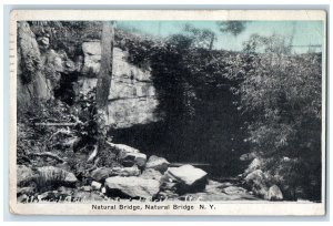 1922 Natural Bridge Northeast of Carthage Jefferson Co New York NY Postcard 