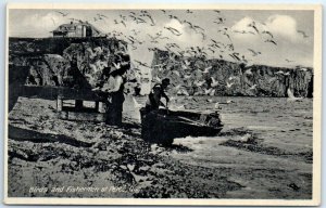 Postcard - Birds and Fishermen at Percé, Canada 