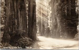 Hiouchi State Park California CA Redwood Trees c1939 Real Photo Postcard D96