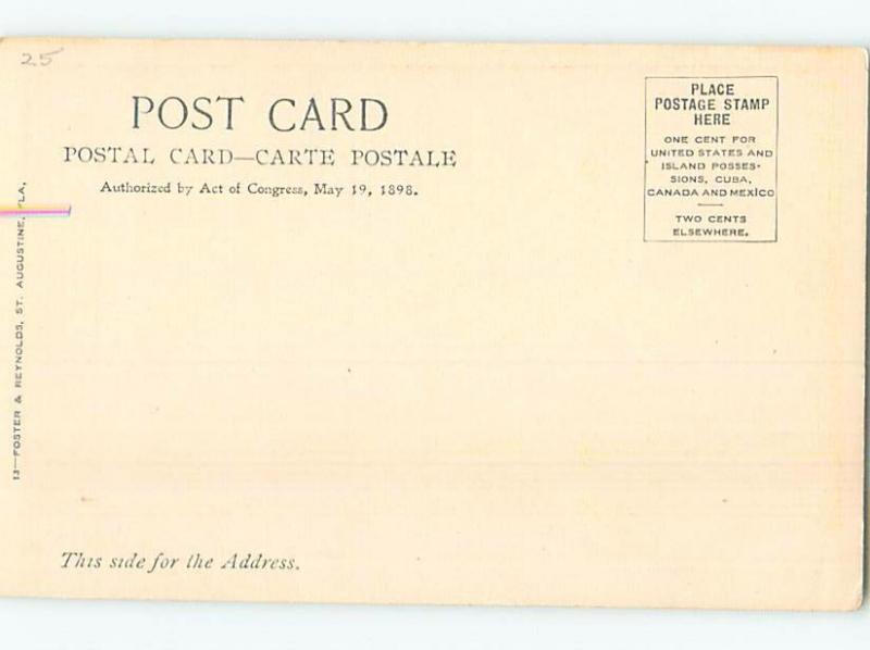 Pre-1907 FLORIDA PINEAPPLE FIELD Published In Saint Augustine Florida FL hp9255