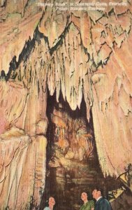 Vintage Postcard 1930's Drapery Room Frozen Niagara Mammoth Cave Kentucky KY