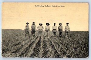 1913 Farmers Cultivating Onions McGuffey Ohio OH Farming Antique Postcard