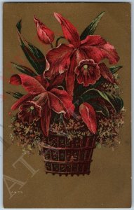 c1910s Soapine Advertising Postcard Potted Cattleya Orchid Flowers No Borax A195