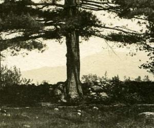 RPPC A View in East Jaffery - Cheshire County, New Hampshire pm 1906 at Rindge