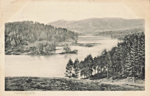 TARN HAWS LAKE DISTRICT CUMBRIA ENGLAND~1900s PEACOCK SERIES POSTCARD