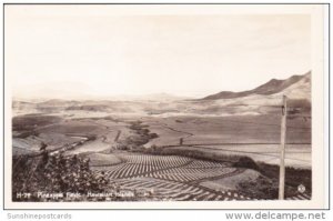 PIneapple Fields Hawaiian Islands Real Photo