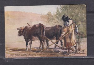PALESTINE, ISRAEL, PLOUGHING ON THE MOUNT OF OLIVES, 1905 ppc used Victoria.