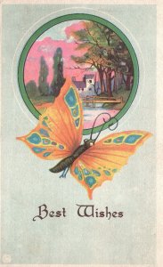 Vintage Postcard 1911 Best Wishes Greeting Card Beautiful Butterfly Nature Scene