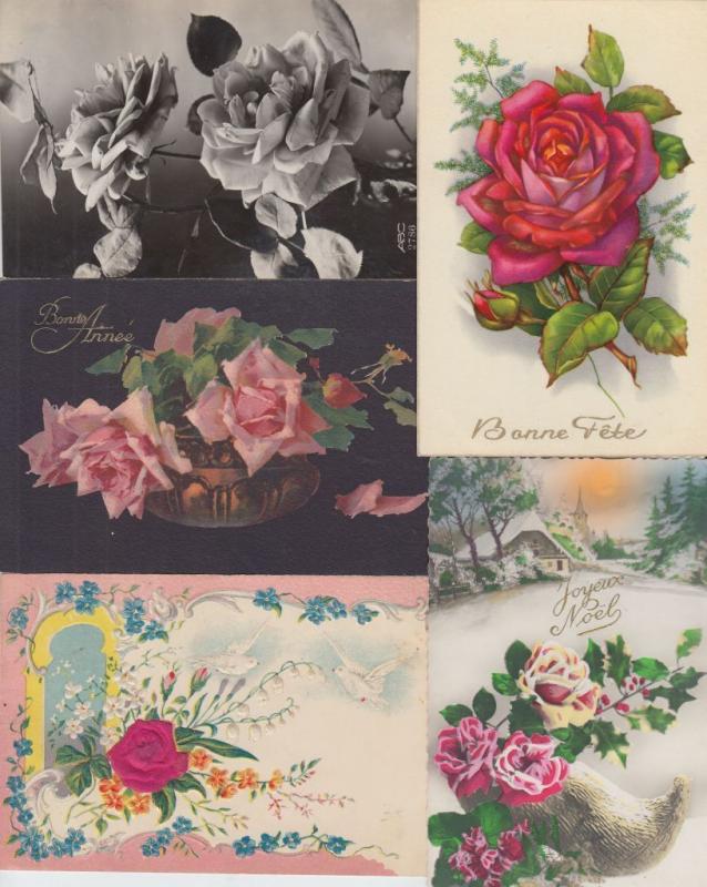 ROSES FLEURS FLOWERS 668 Cartes Postales Mostly Pre-1970