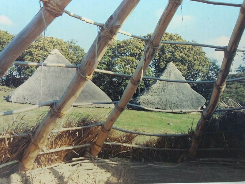 Castell Henllys Pembrokeshire Reconstructed Iron Age Settlement Vintage Postcard