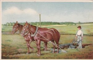 Horses Plowing Field Vanakula