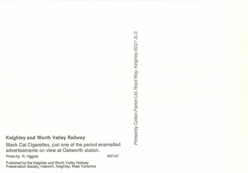 Black Cat cigarettes advertising postcard