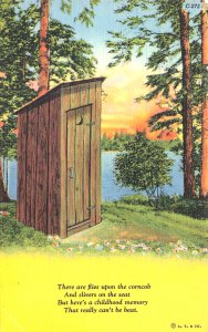 CURTEICH-CHICAGO Flies Upon The Outhouse Postcard