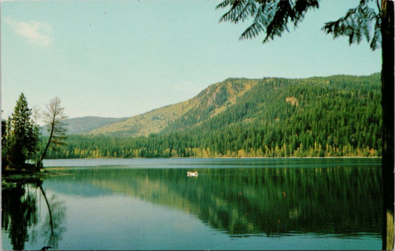 Heffley Lake BC Kamloops Region Unused Postcard G19