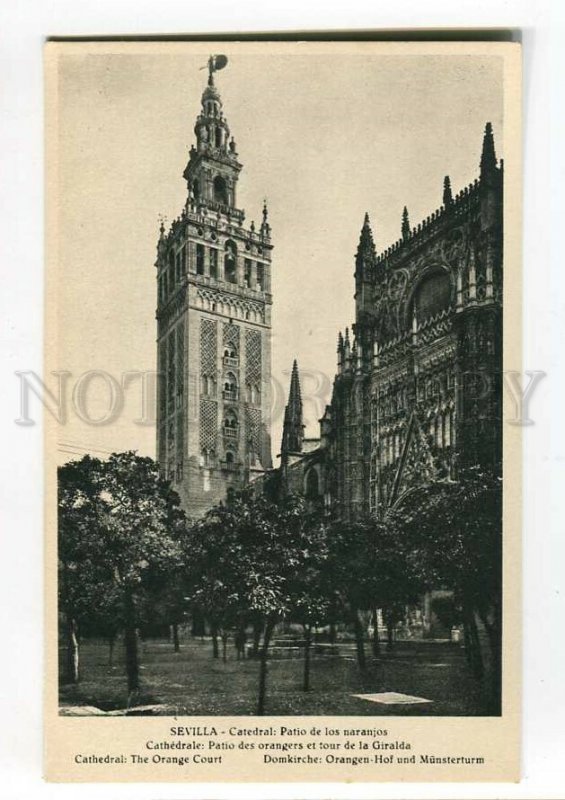 3089183 SPAIN Sevilla Cathedral orange Court Vintage PC