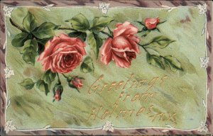 Holmes New York NY Greetings Roses Embossed c1910 Vintage Postcard