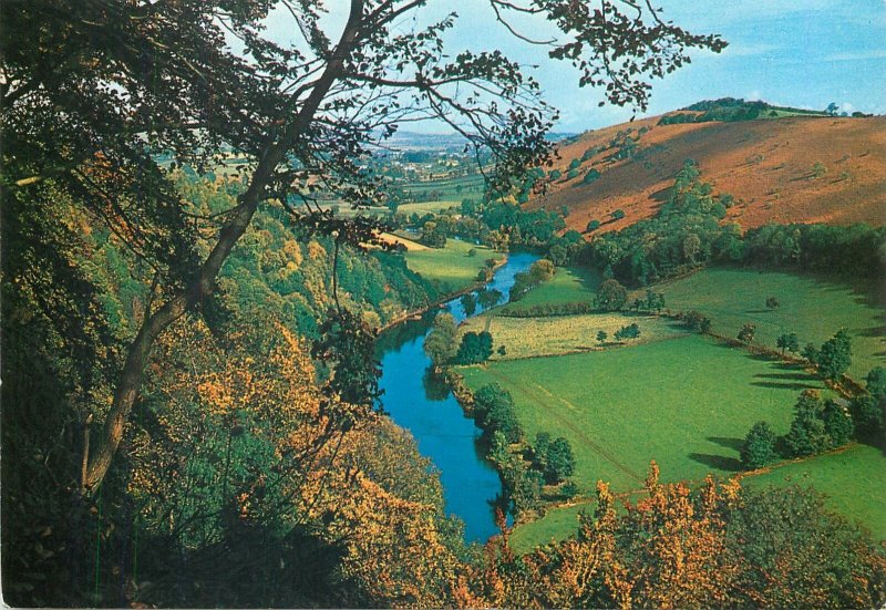 England Postcard River Wye Yat Rock Symonds Yat wild nature landscape view