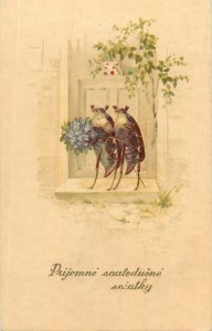 Happy Pentecost Day greetings drawn beetle bugs couple fantasy postcard