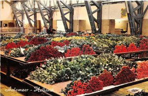 US83 Netherlands Aalsmeer interior flower auction flower market