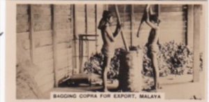 Carreras Vintage Cigarette Card Malayan Industries No 23 Bagging Copra For Ex...