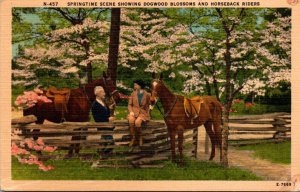 North Carolina Springtime Scene Showing Dogwood Blossoms and Horseback Riders