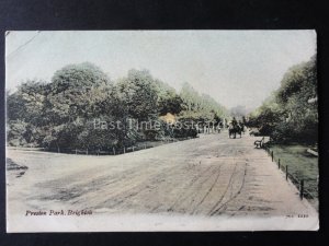 Sussex BRIGHTON Preston Park c1904 Postcard by J.W.S.