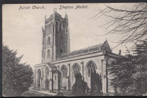 Somerset Postcard - Parish Church, Shepton Mallett  A9507