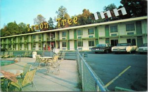 postcard  North Carolina - Lemon Tree Inn, Charlotte