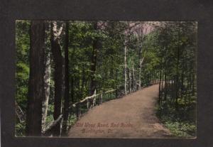 VT Old Wood Road Red Rocks Forest Burlington Vermont Vintage Postcard