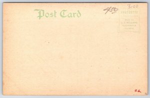 Manchester Iowa~Front of Carnegie Free Library~Ionic Columns~CU Williams c1911