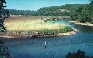 Vintage Postcard Field and Stream Vacationland Scene Fisherman Fishing