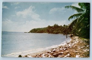 Guam Postcard Net Fisherman Marianas Islands Beach Scene c1950's Unposted