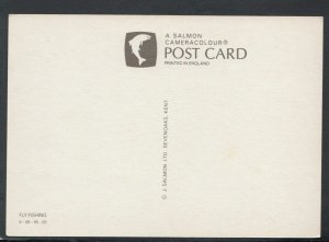 Leisure Postcard - Man Fly Fishing   RR6439