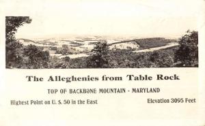 Backbone Mt Maryland Birdseye View Real Photo Antique Postcard K36583 