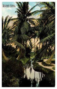 Postcard NATURE SCENE Honolulu Hawaii HI AP9289