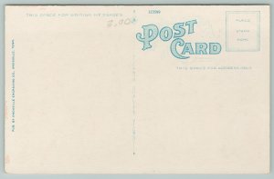 Decatur Alabama~Carnegie Library Building~Vintage Postcard