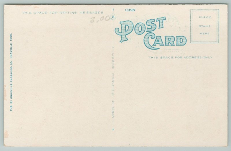 Decatur Alabama~Carnegie Library Building~Vintage Postcard