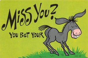 Miss You   Donkey 