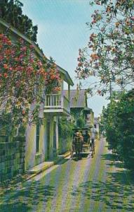Florida St Augustine Horse Drawn Carriage On Aviles Street