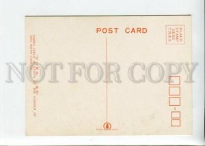 3154383 JAPAN Maiko Girls Geisha KYOTO Garden of Nijyo Castle